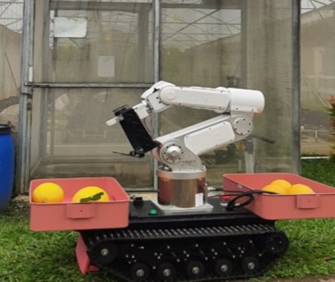 Melon Harvesting Robot, Robot Pemanen Melon Inovasi Terbaru IPB