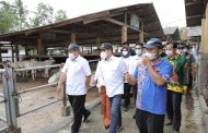 Belajar Peternakan Sapi di Lampung Selatan, Gus Halim: Contoh Bagi BUMDes