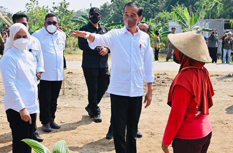 Presiden Jokowi: 800 Juta Orang Akan Kelaparan, Harus Ada Solusi Krisis Pangan